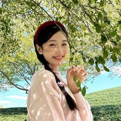 卡美洛